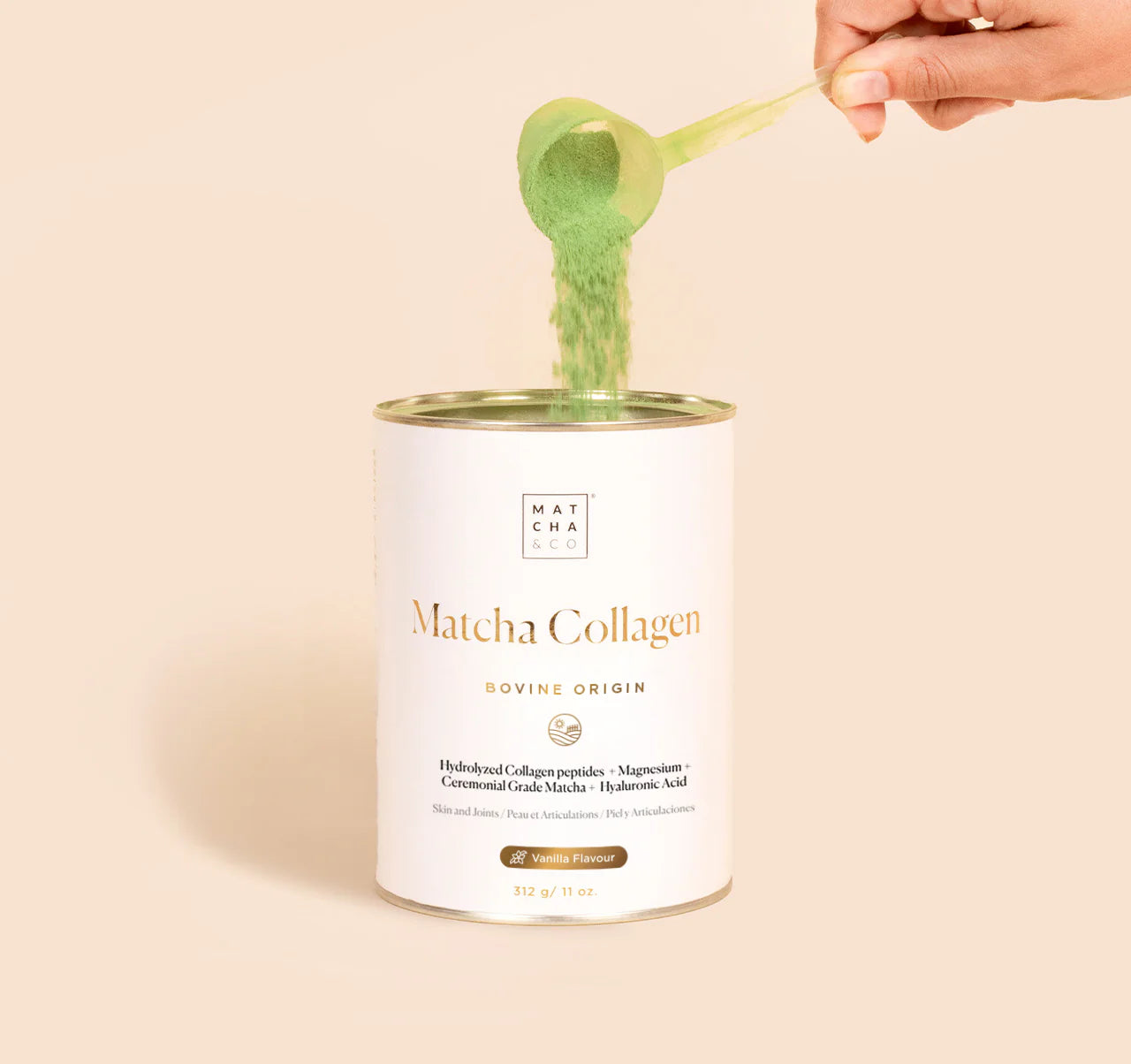 Collagène Matcha avec Magnésium & Acide Hyaluronique – 300 g - Matcha & CO