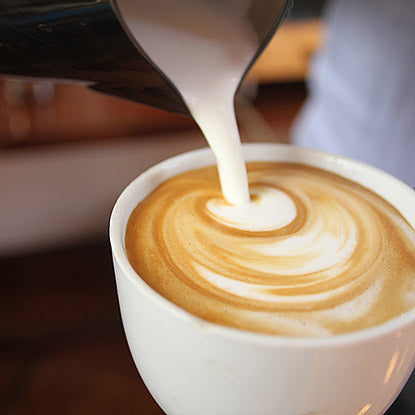 Mousseur à lait électrique Cappuccinatore - Caffè Agostani