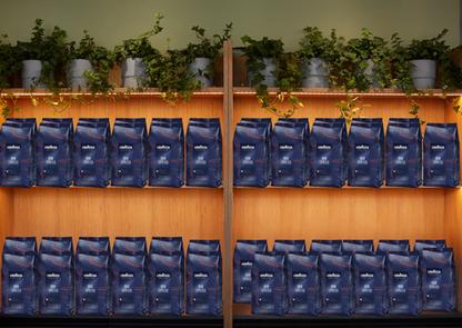30 x 1 kg Café en grain GRAN ESPRESSO - LAVAZZA