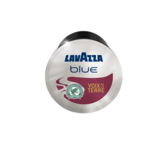 100 Capsules BLUE VOIX DE LA TERRE  - LAVAZZA
