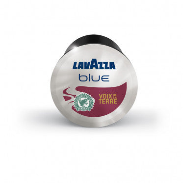 100 Capsules BLUE VOIX DE LA TERRE  - LAVAZZA